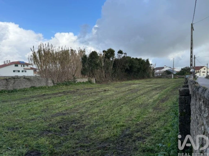 Terreno para Venda em Monte Real e Carvide Foto 12