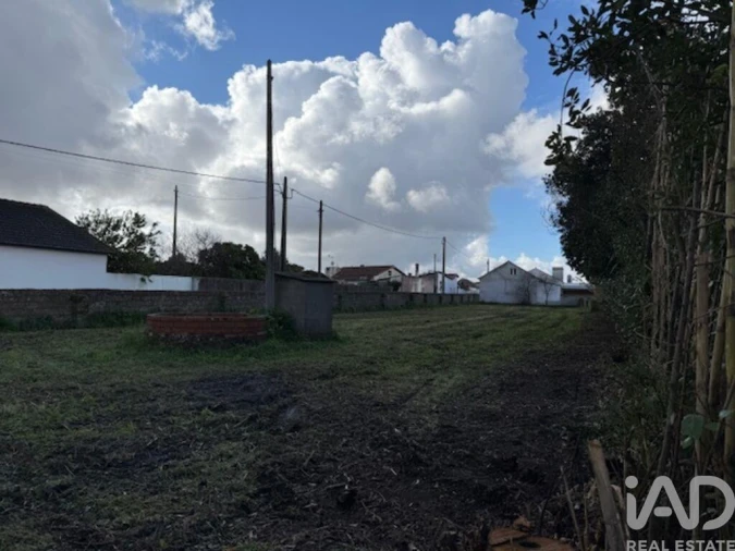 Terreno para Venda em Monte Real e Carvide Foto 15