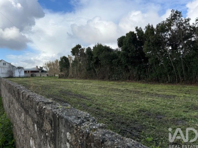 Terreno para Venda em Monte Real e Carvide Foto 4