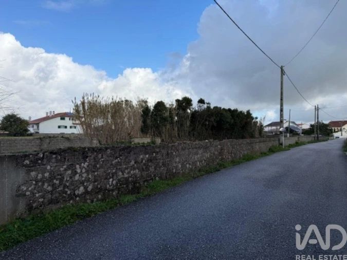 Terreno para Venda em Monte Real e Carvide Foto 14