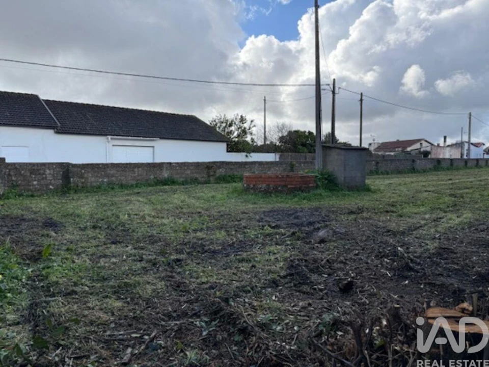Terreno para Venda em Monte Real e Carvide Foto 16