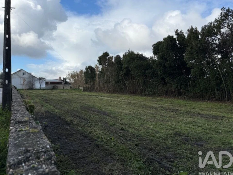 Terreno para Venda em Monte Real e Carvide Foto 6