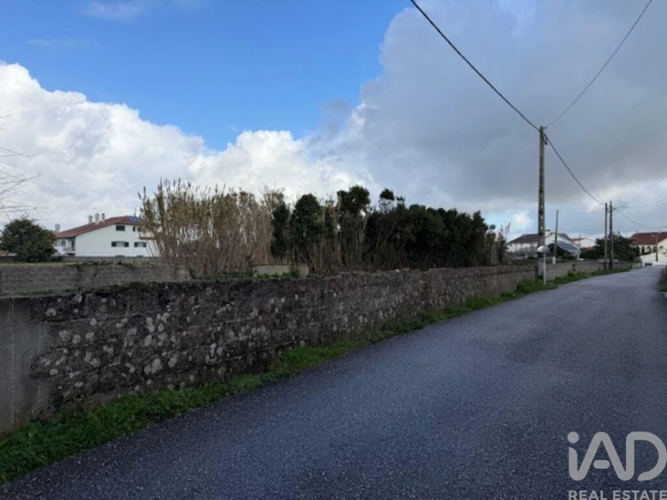 Terreno para Venda em Monte Real e Carvide Foto 14