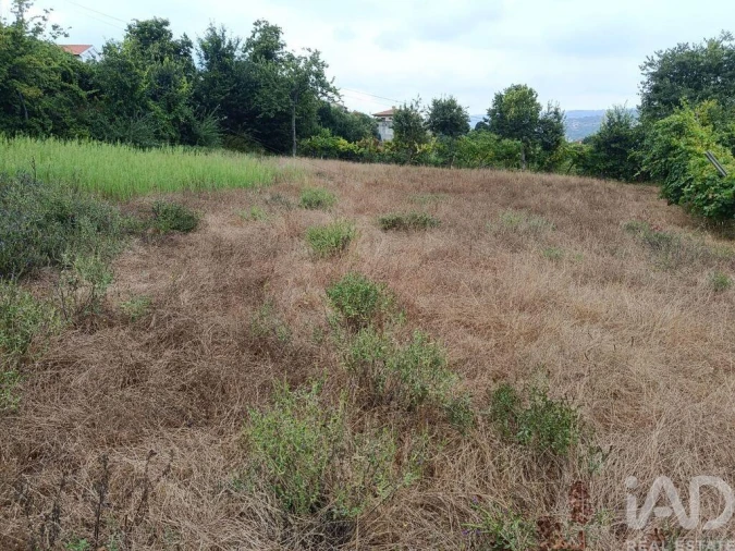 Terreno para Venda em Marco Foto 7
