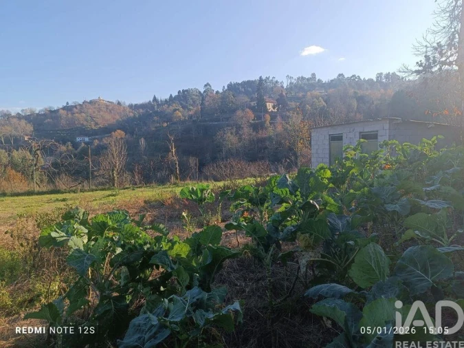 Terreno para Venda em Marco Foto 4