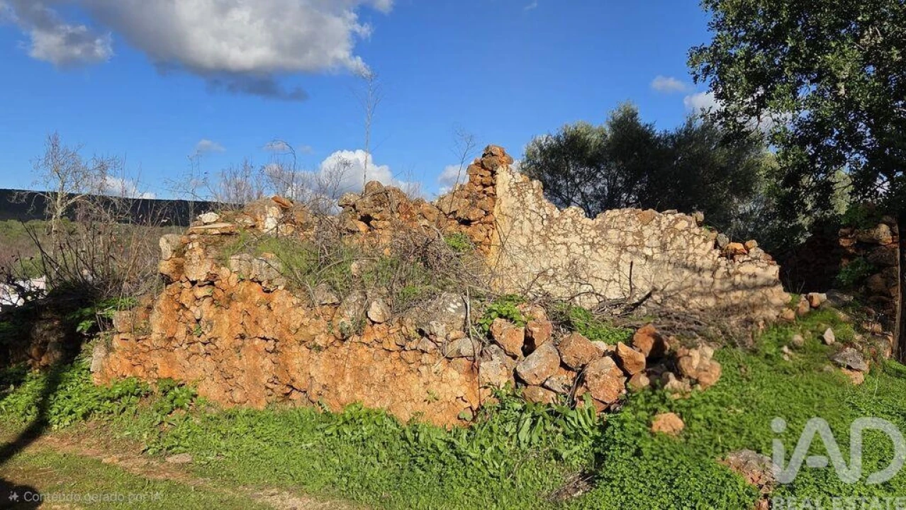 Terreno para Venda em Querença, Tôr e Benafim Foto 9
