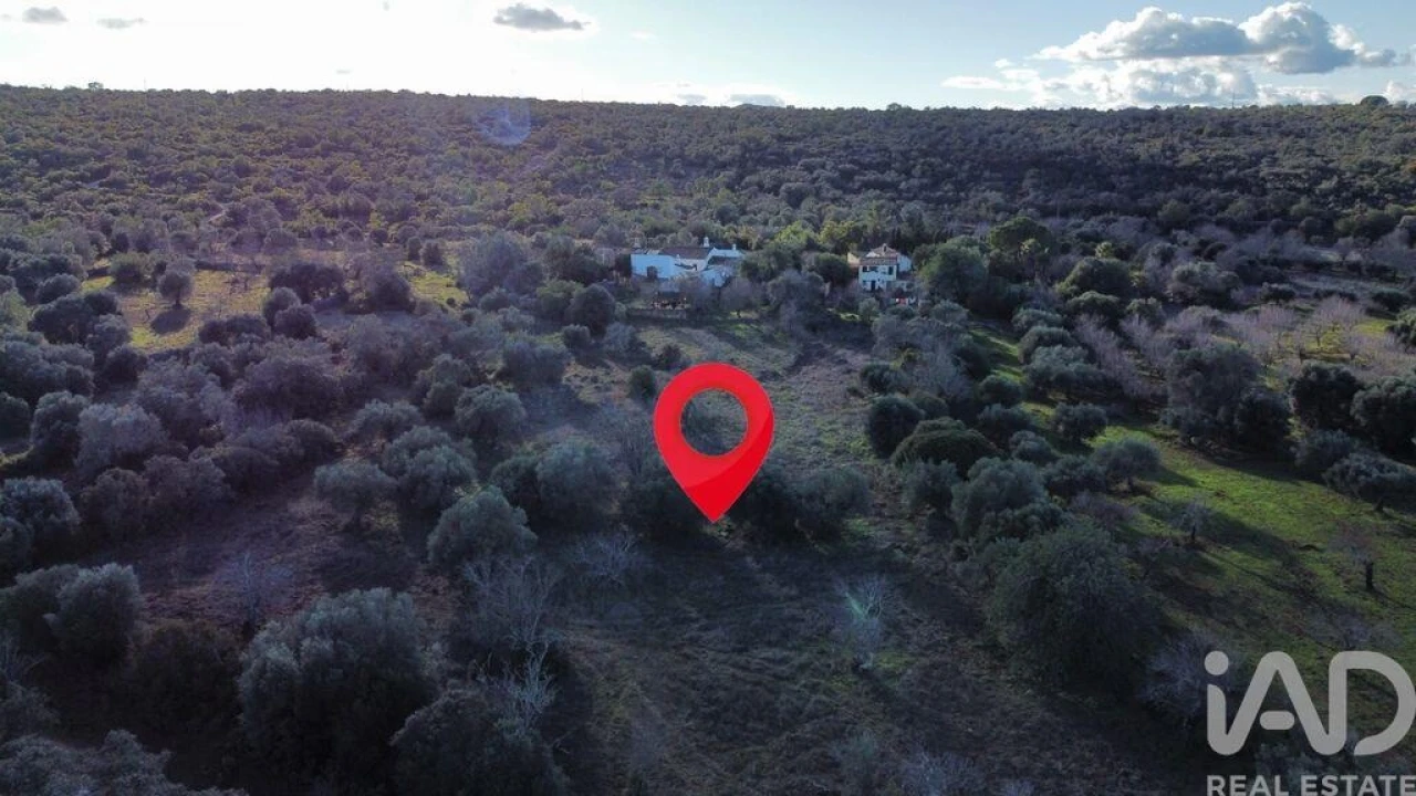 Terreno para Venda em Querença, Tôr e Benafim Foto 7