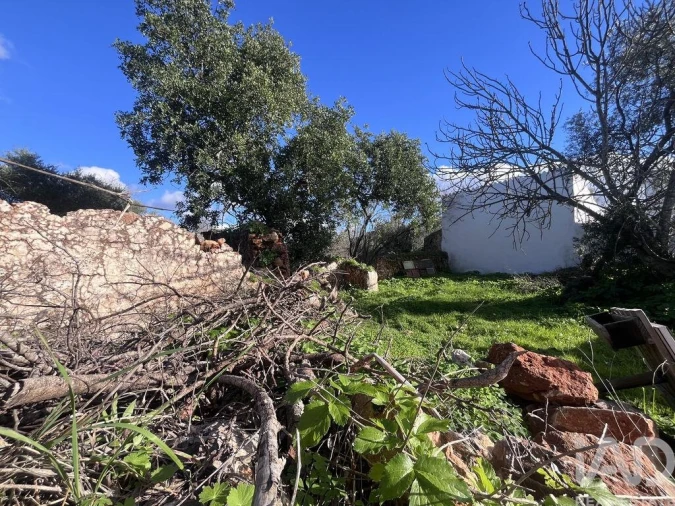 Terreno para Venda em Querença, Tôr e Benafim Foto 3