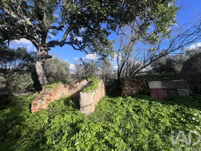 Terreno para Venda em Querença, Tôr e Benafim Foto 2