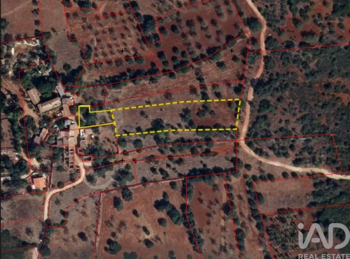 Terreno para Venda em Querença, Tôr e Benafim Foto 6