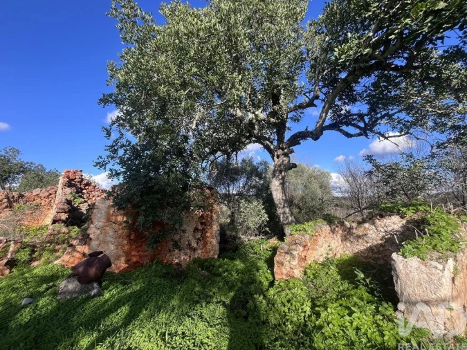 Terreno para Venda em Querença, Tôr e Benafim Foto 4