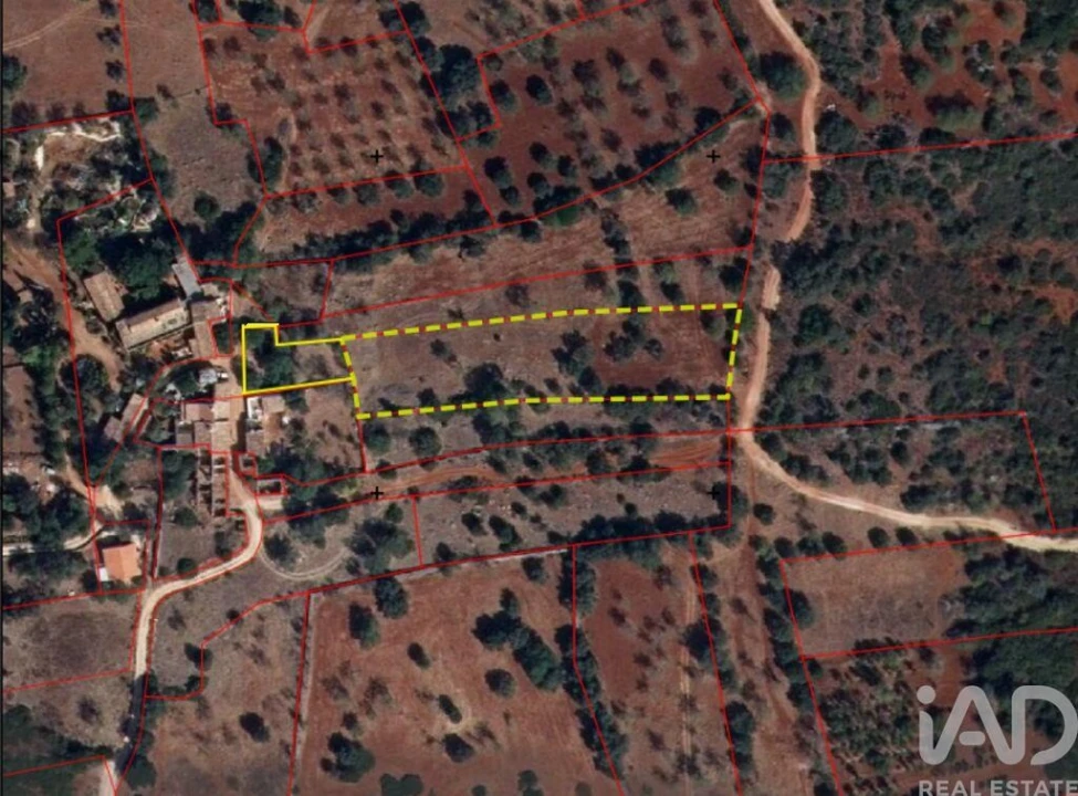 Terreno para Venda em Querença, Tôr e Benafim Foto 6