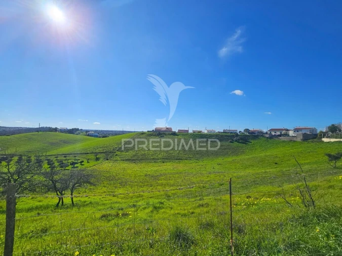 Terreno para Venda em Ourique Foto 12