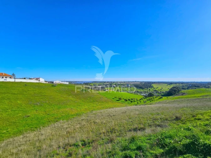 Terreno para Venda em Ourique Foto 2