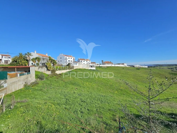 Terreno para Venda em Ourique Foto 4