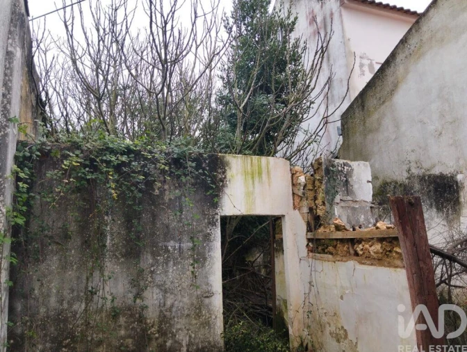 Moradia T2 para Venda em Marmeleira e Assentiz Foto 33