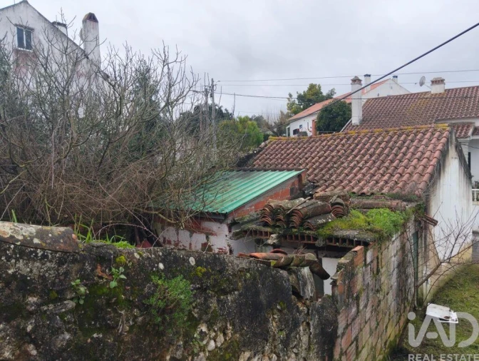 Moradia T2 para Venda em Marmeleira e Assentiz Foto 37