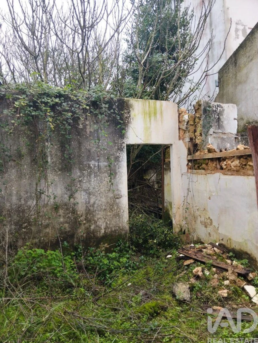 Moradia T2 para Venda em Marmeleira e Assentiz Foto 32