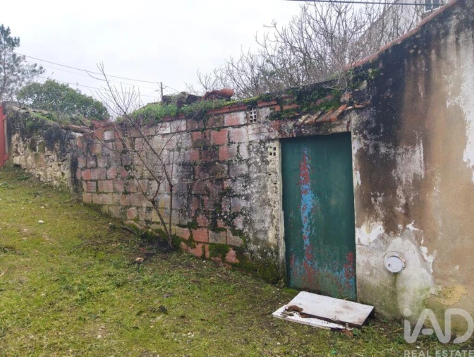 Moradia T2 para Venda em Marmeleira e Assentiz Foto 38