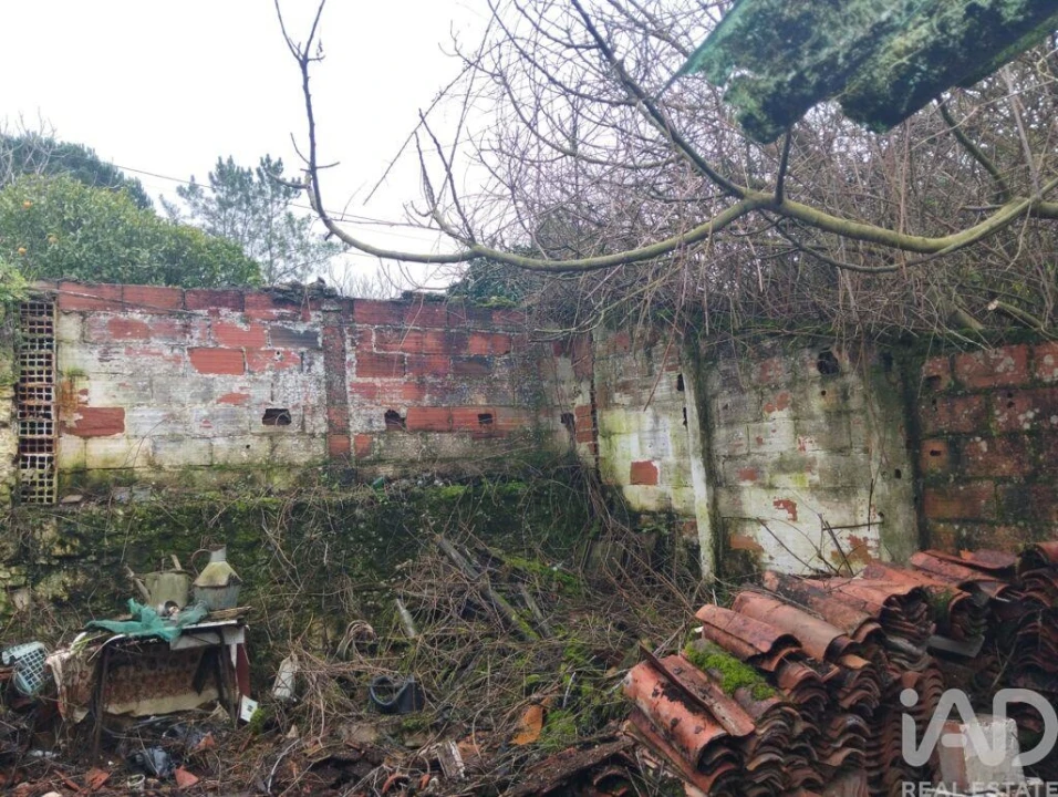 Moradia T2 para Venda em Marmeleira e Assentiz Foto 31