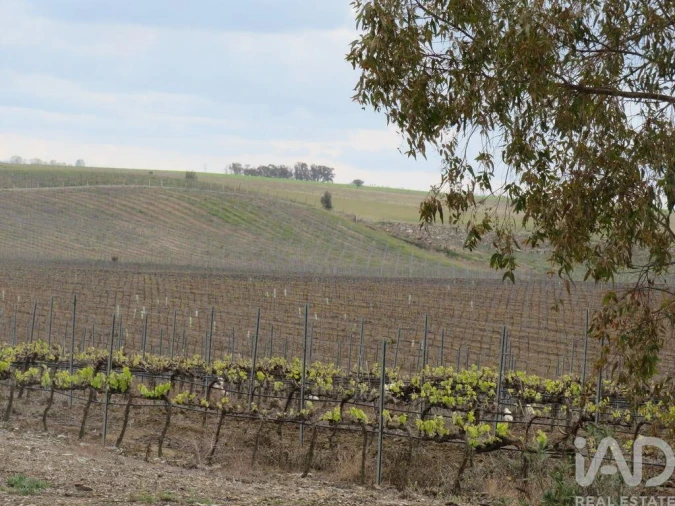 Moradia T5 para Venda em Bombarral e Vale Covo Foto 5