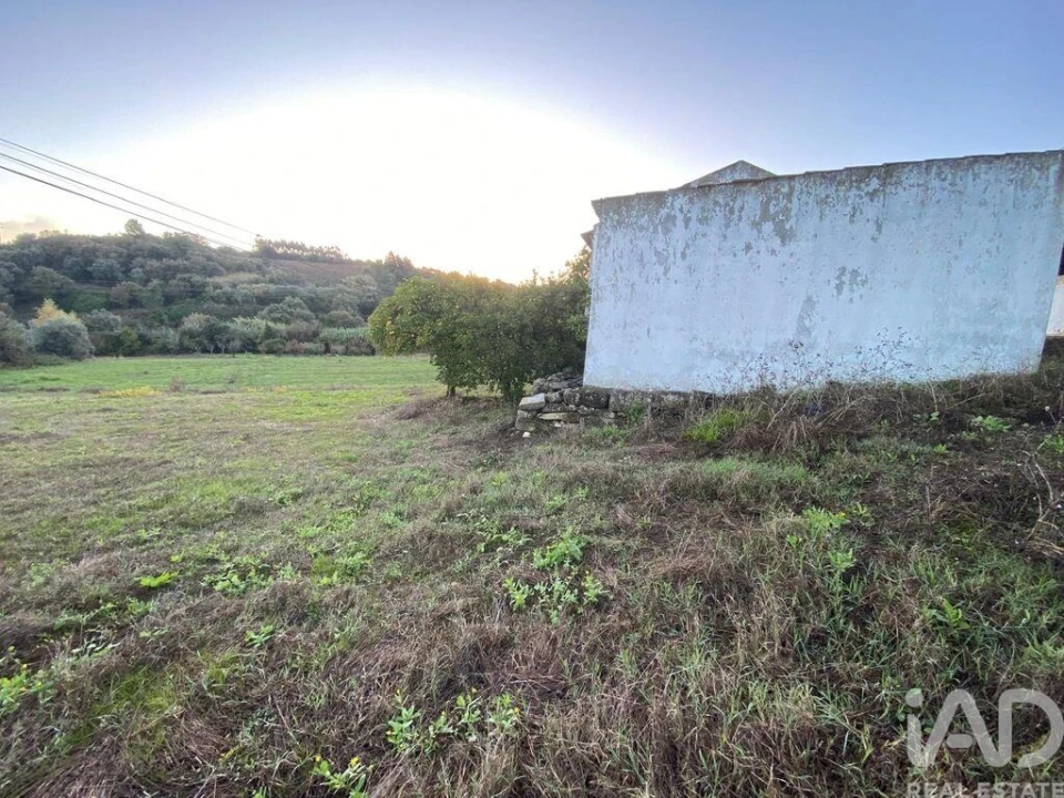 Armazém para Venda em Ventosa Foto 6