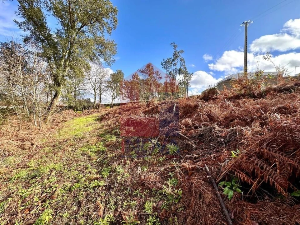 Terreno para Venda em Turiz Foto 24