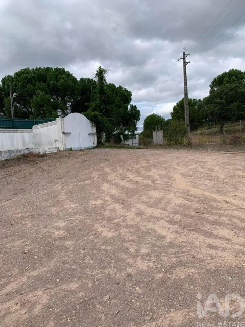 Quinta T6 para Venda em Montargil