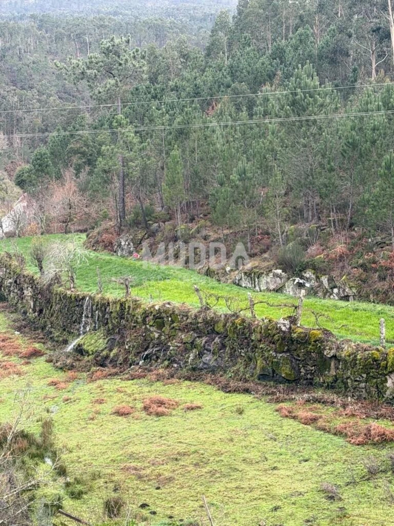 Moradia T1 para Venda em São João do Monte e Mosteirinho Foto 12