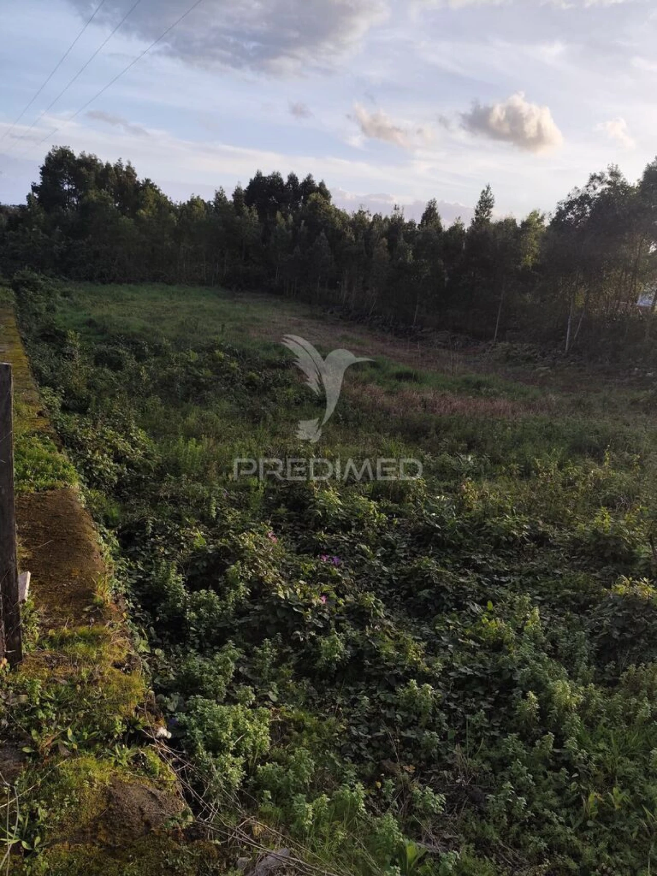 Terreno para Venda em Terra Chã Foto 12