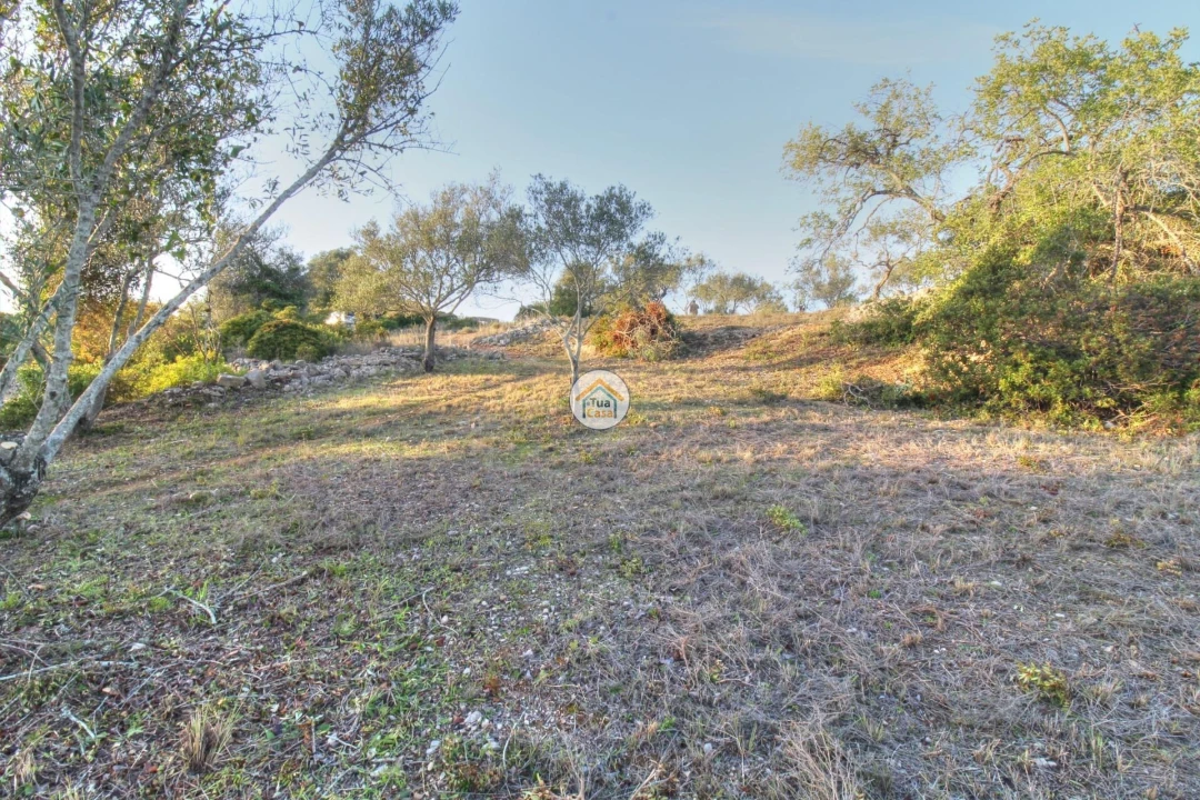 Terreno para Venda em Santa Barbara de Nexe Foto 26