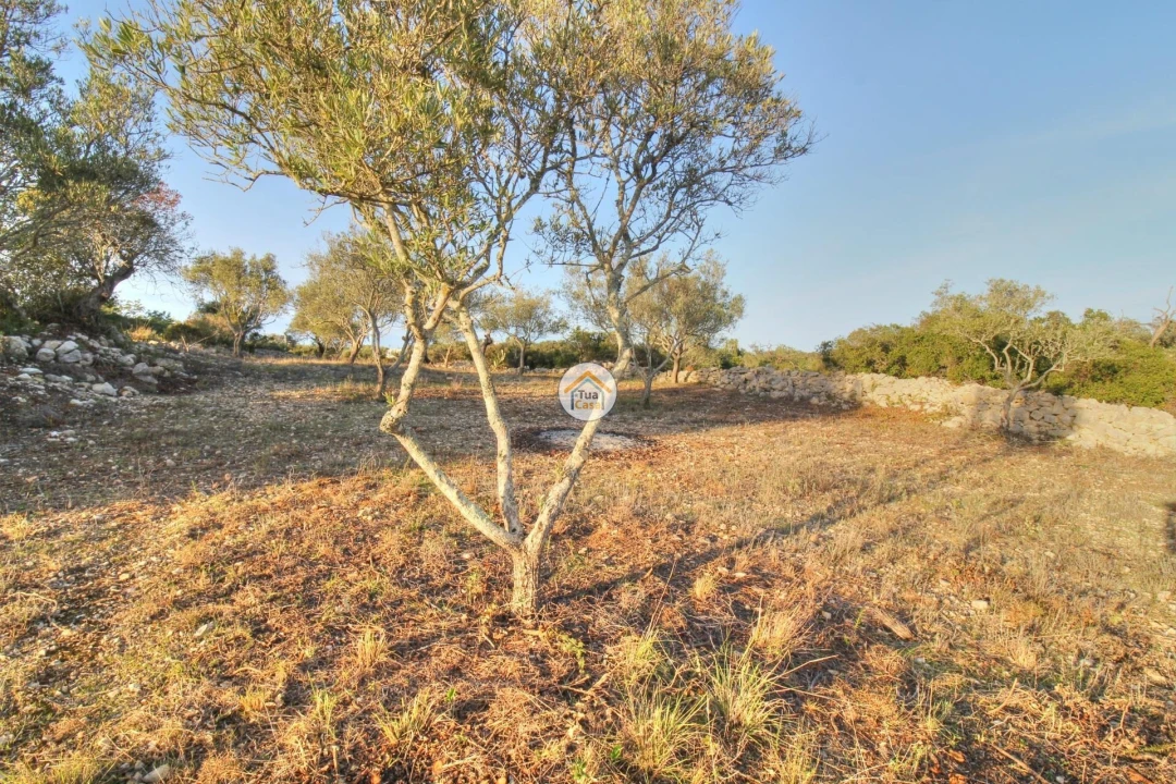 Terreno para Venda em Santa Barbara de Nexe Foto 19