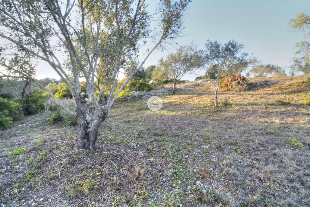 Terreno para Venda em Santa Barbara de Nexe Foto 25