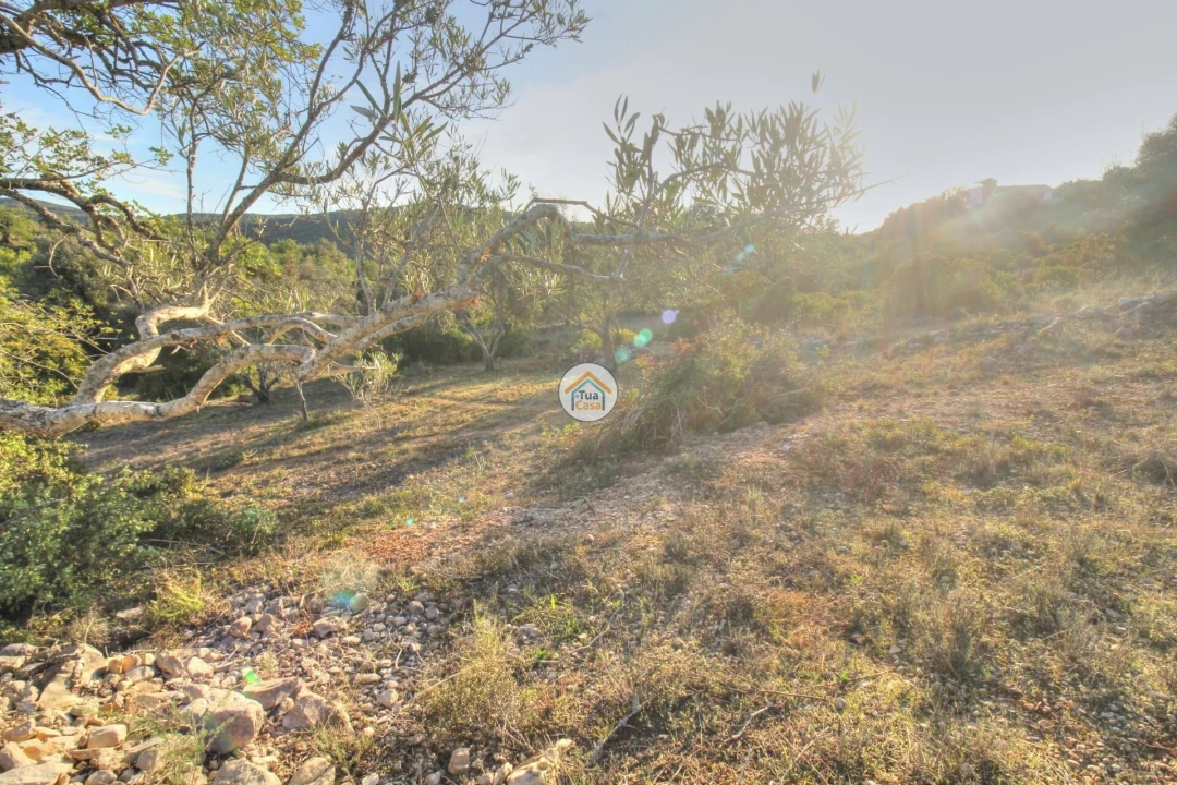 Terreno para Venda em Santa Barbara de Nexe Foto 16