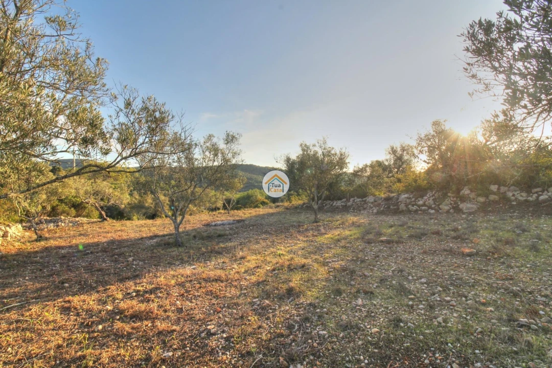Terreno para Venda em Santa Barbara de Nexe Foto 12