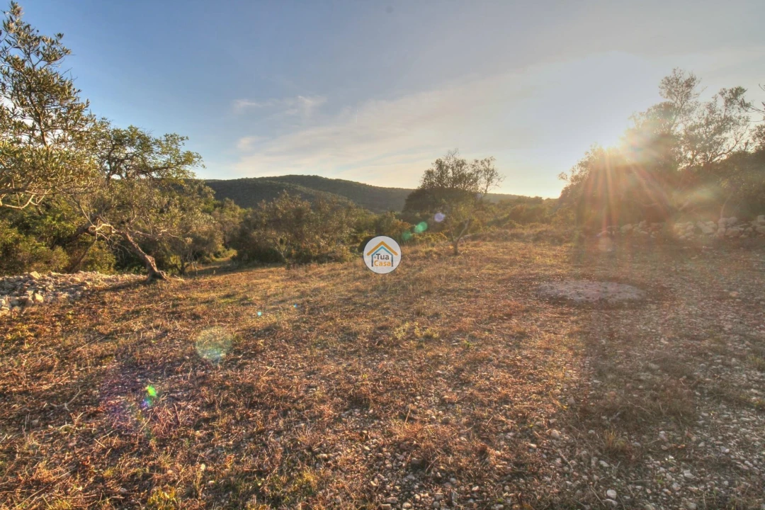 Terreno para Venda em Santa Barbara de Nexe Foto 13