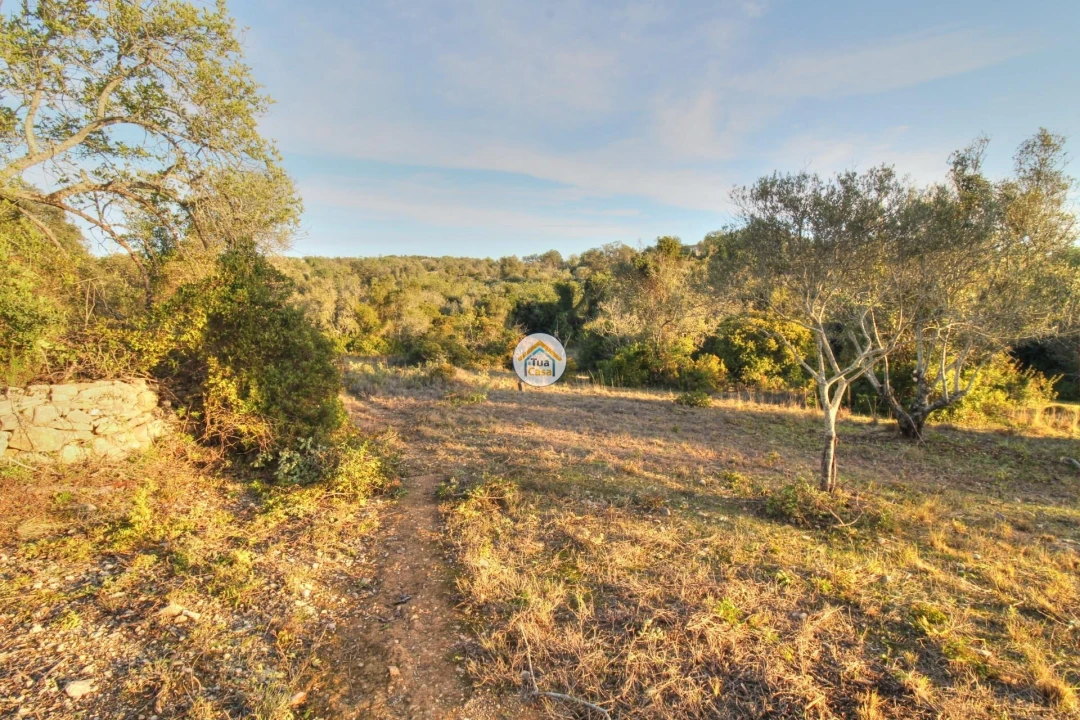 Terreno para Venda em Santa Barbara de Nexe Foto 22