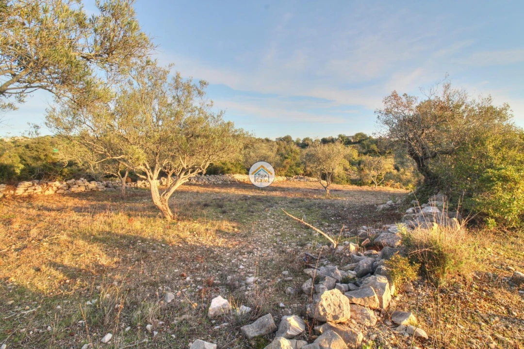 Terreno para Venda em Santa Barbara de Nexe Foto 29