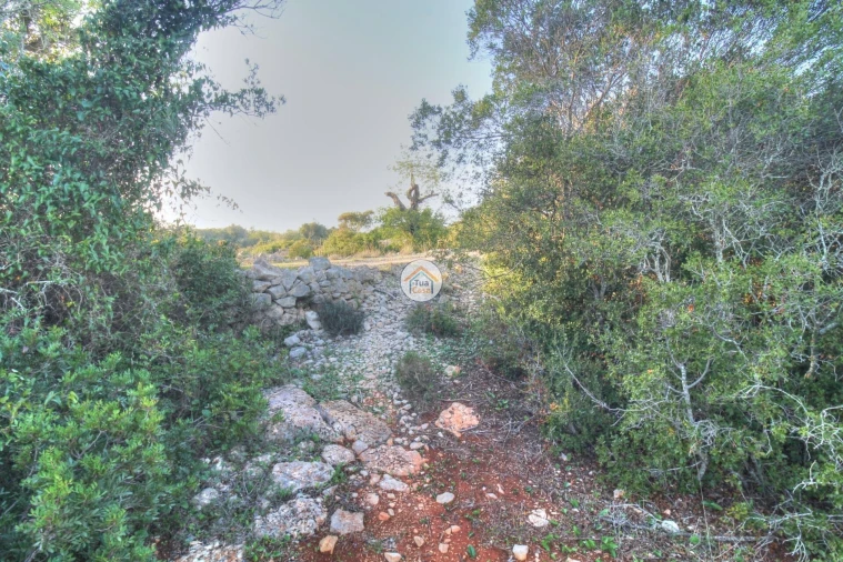 Terreno para Venda em Santa Barbara de Nexe Foto 4