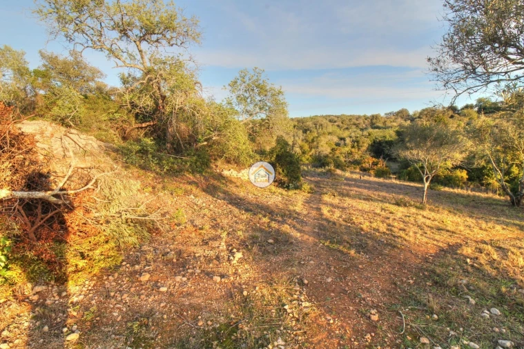 Terreno para Venda em Santa Barbara de Nexe Foto 21