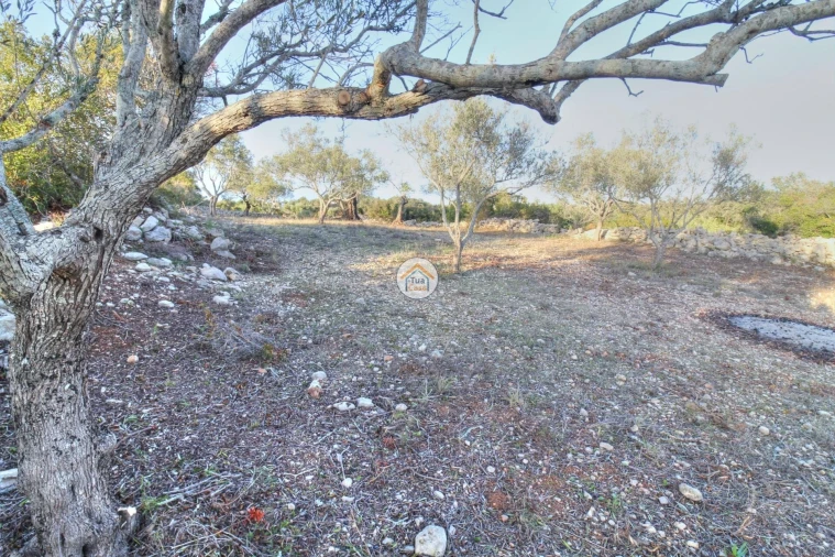 Terreno para Venda em Santa Barbara de Nexe Foto 20