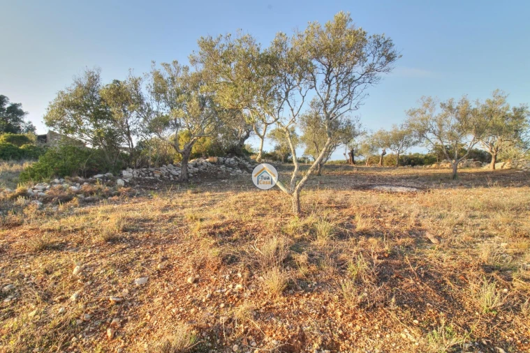 Terreno para Venda em Santa Barbara de Nexe Foto 17