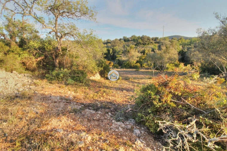 Terreno para Venda em Santa Barbara de Nexe Foto 18