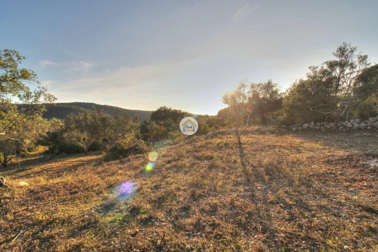 Terreno para Venda em Santa Barbara de Nexe Foto 14