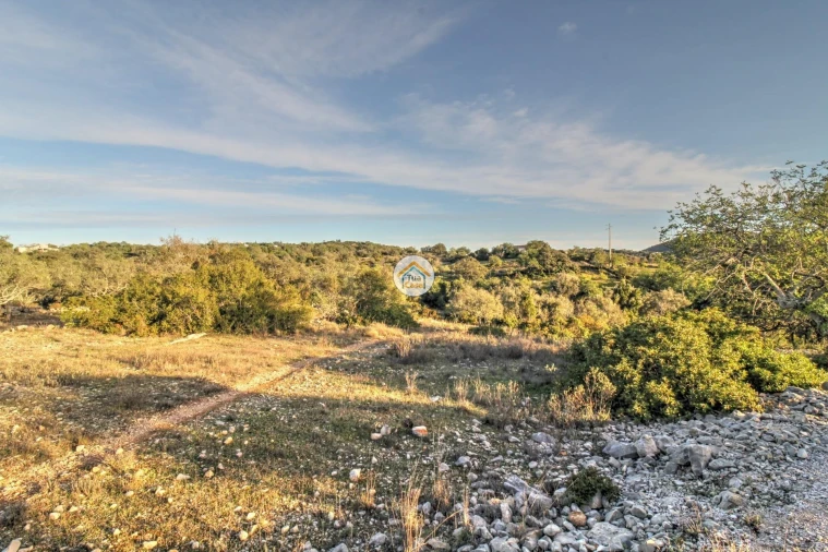 Terreno para Venda em Santa Barbara de Nexe Foto 1