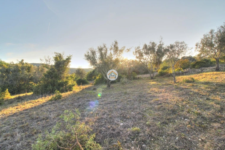 Terreno para Venda em Santa Barbara de Nexe Foto 23