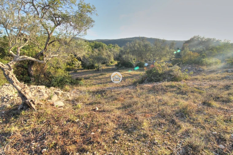 Terreno para Venda em Santa Barbara de Nexe Foto 15