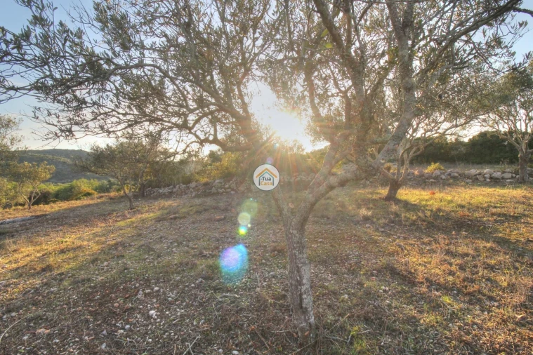 Terreno para Venda em Santa Barbara de Nexe Foto 11