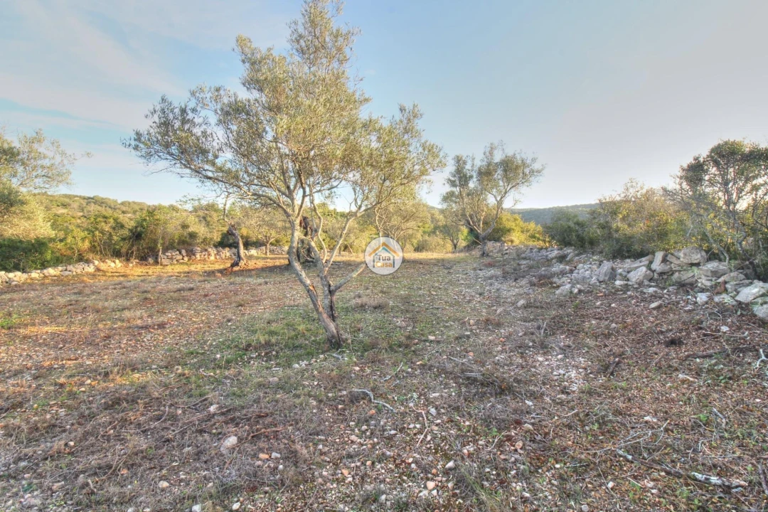 Terreno para Venda em Santa Barbara de Nexe Foto 6