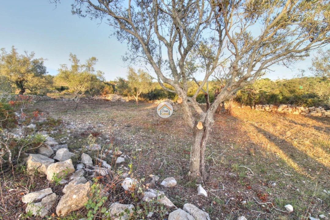 Terreno para Venda em Santa Barbara de Nexe Foto 28